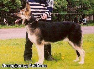 Logerfeld Rebekka Logerfeld Rebekka