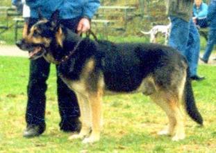 Eylan RKF R 1327148 (Orlov) Eylan RKF R 1327148 (Orlov)
