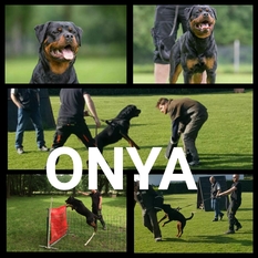 Onya vom Cassanova Onya vom Cassanova
