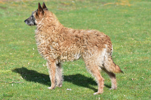 Sioux van Moned Sioux van Moned