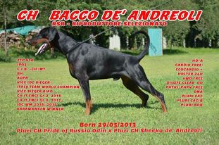 Bacco De' Andreoli Bacco De' Andreoli