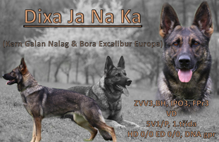 Dixa Ja Na Ka Dixa Ja Na Ka