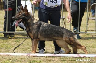 Ombra van het Poorthuis Ombra van het Poorthuis