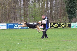 Ive van Blutsenhof Ive van Blutsenhof