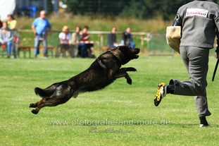 Baxter vom Hasper Hammer Baxter vom Hasper Hammer