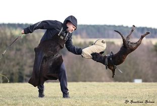 Baris von Pompom Baris von Pompom