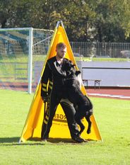 Dustin vom Sonnenhof Dustin vom Sonnenhof