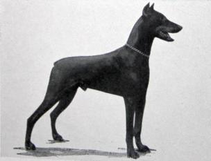 Felix van Coldod Felix van Coldod