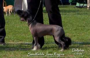 Sandfield's Juno Regina Sandfield's Juno Regina