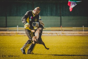 Cha-Cha di Esposito Cha-Cha di Esposito