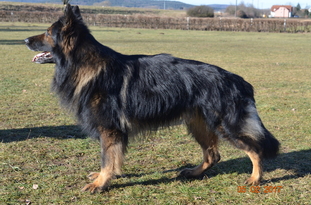 Blu Masaru (SZ-R 25000058) Blu Masaru (SZ-R 25000058)