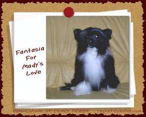 Fantasia For Mady's Love Fantasia For Mady's Love