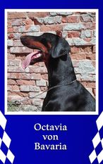 Octavia von Bavaria Octavia von Bavaria
