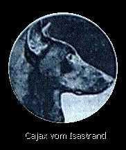 Cajax vom Isarstrand Cajax vom Isarstrand