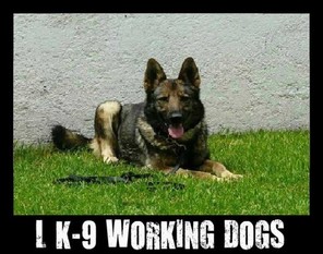 Inka of L K-9 Inka of L K-9