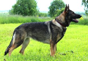 Frei Wind Ronja Frei Wind Ronja