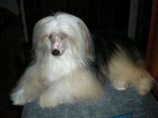Sasquehanna Posejdon Sasquehanna Posejdon
