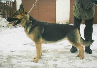 Hard Guard Pallada Hard Guard Pallada