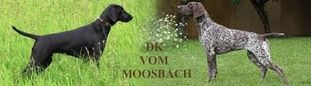 Urban vom Moosbach Urban vom Moosbach