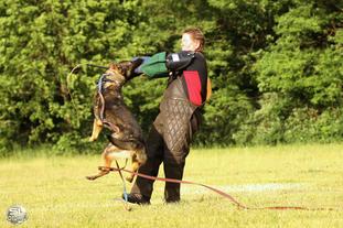 Ingbert vom Wolfsweiher Ingbert vom Wolfsweiher