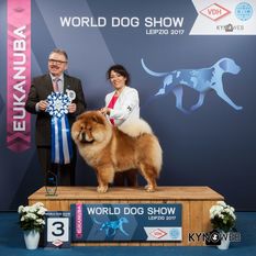 King of Egypt de los Perros de Bigo King of Egypt de los Perros de Bigo