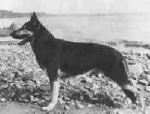 Flojd (Maslennikov) Flojd (Maslennikov)