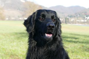 Caspar vom Kilianstein Caspar vom Kilianstein