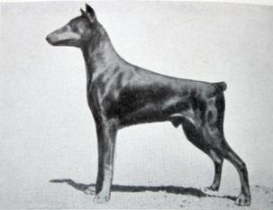 Chiron van Coldod Chiron van Coldod