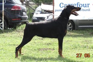 Carla bo Valcone Carla bo Valcone