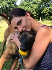 Belgian Tigers Malinoid Maddy Belgian Tigers Malinoid Maddy