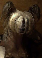 Meg Ryan Semper In Motu Z Ekipy Klejnot Meg Ryan Semper In Motu Z Ekipy Klejnot