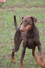 Annabelle von Oman Annabelle von Oman