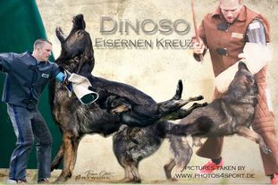 Dinoso vom Eisernen Kreuz Dinoso vom Eisernen Kreuz