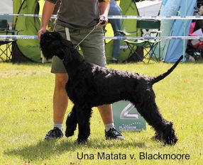 Una Matata von Blackmoore Una Matata von Blackmoore