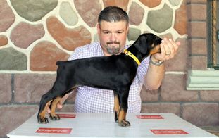 Ali (Fernández) Ali (Fernández)