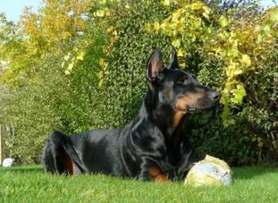 Withny van de Astra-Hoeve Withny van de Astra-Hoeve