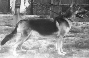 Kayra (Vtorova) Kayra (Vtorova)