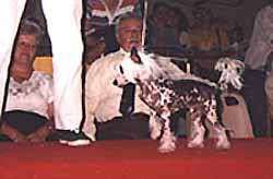 Jhi Chung Yang De Sanwill Jhi Chung Yang De Sanwill