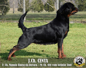 Centa (HKS/HR 15941) Centa (HKS/HR 15941)
