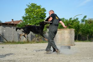Kiserdő-menti Dorka Kiserdő-menti Dorka