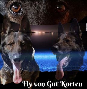 Fly von Gut Korten Fly von Gut Korten