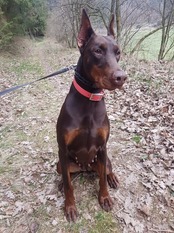 Luccy Lou Luccy Lou