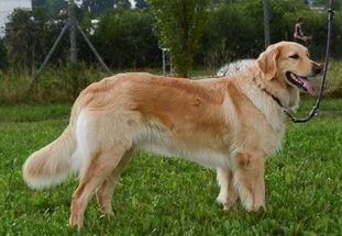 Alva von den Heiligen Pfühlen Alva von den Heiligen Pfühlen