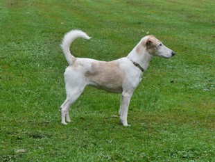 Susi (Gryska) Susi (Gryska)