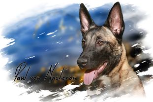 Paul von Nacheron Paul von Nacheron