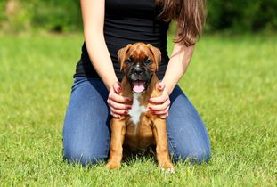 E.T. European K9 training base E.T. European K9 training base