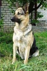 Marta (Kukushkina) Marta (Kukushkina)