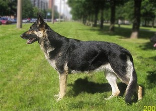 Eva RKF R 1984495 Eva RKF R 1984495