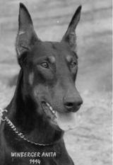 Arita Weinberger Arita Weinberger