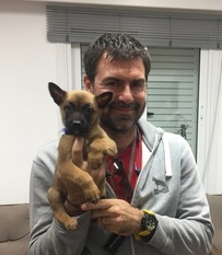 Bosco vom Giannioti Sports Dog Bosco vom Giannioti Sports Dog